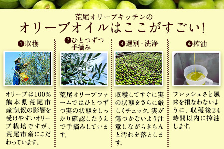 ＊化粧箱入り＊ 荒尾市産100％ エキストラバージンオリーブオイル 3本セット 荒尾オリーブファーム合同会社《30日以内に出荷予定(土日祝除く)》