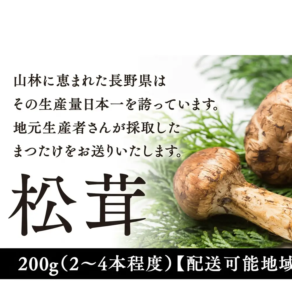 松茸 200g 約2～4本程度 松茸