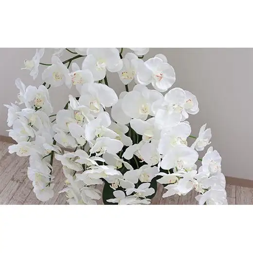 【造花】胡蝶蘭 7本立