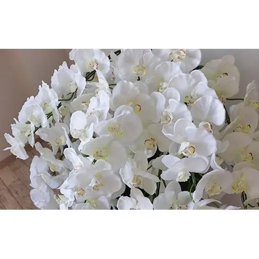【造花】胡蝶蘭 15本立