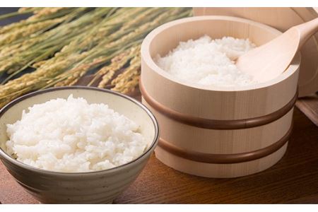 ＜定期便＞白河市産コシヒカリ精米10kg×3ヶ月連続 米 お米 コメ ごはん ご飯 食品 F25R-014