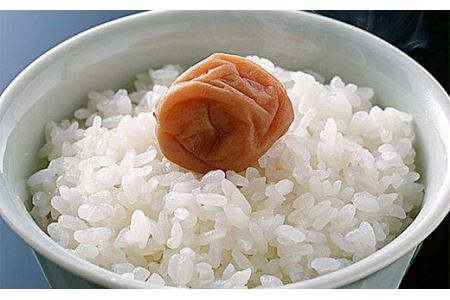 令和7年産米 白河市産天のつぶ精米10kg 米 お米 コメ ごはん ご飯 食品 F25R-007