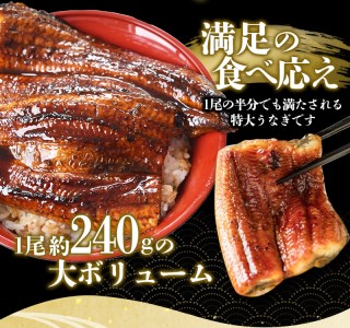 【通常配送】1尾で約215g～240gのビッグサイズ うなぎ蒲焼 2尾 計約430g～480g （タレ・山椒付き） 中国産 鰻 うなぎ うなぎの蒲焼 炭火焼き 炭火 特大サイズ【nks700B】