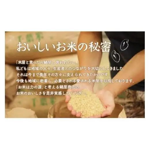 【最短2～7営業日出荷】令和7年産 2年連続特A評価!千葉県産コシヒカリ10kg（5kg×2袋） E001