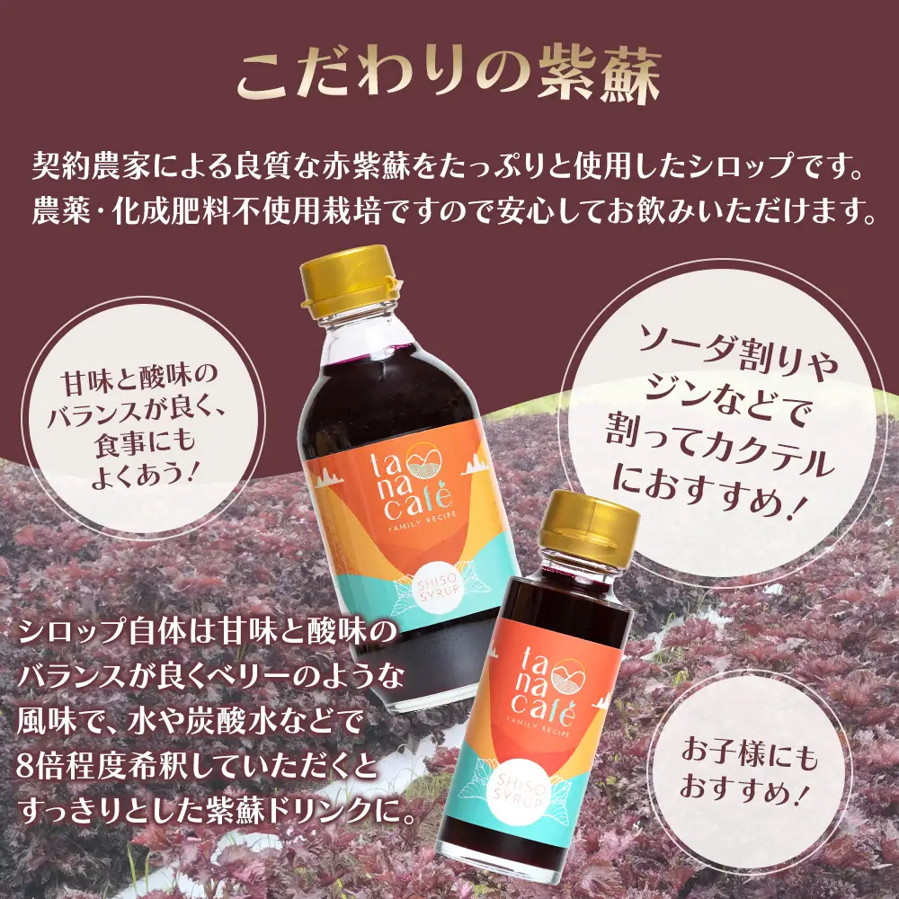 赤紫蘇シロップ 1本 300ml 紫蘇 tc-0007