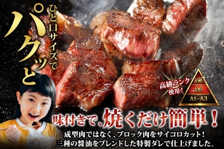 黒毛和牛 塩 ローストビーフ 300g モモ モモ肉 味付 サイコロステーキ 400g 食べ比べ セット A4 A5 等級 北海道産牛 弟子屈牛 バーベキュー BBQ おつまみ お取り寄せ 冷凍 贈り物 gift 送料無料 北海道 弟子屈町 2983