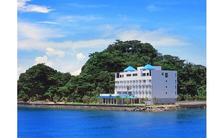 贅沢なオーシャンビュー☆奄美山羊島ホテル大浴場利用券（2枚） A090-006 鹿児島 奄美市 奄美大島 奄美山羊島ホテル やぎじま 奄美市名瀬 絶景 リゾート 夜景 くつろぎ 癒しの空間 