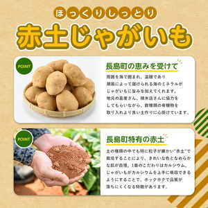 【先行予約】＜数量・期間限定＞ホックホク甘さがある伊唐産早春じゃがいも(約5kg)【旬感foods】horino-7075