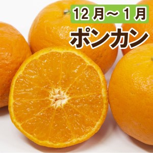 定期便 4回 4ヶ月 愛媛 みかん ポンカン 不知火 しらぬい ネーブルオレンジ なつみ ブラッドオレンジ 河内晩柑 愛南 ゴールド 柑橘 かんきつ フルーツ 果物 くだもの 数量 季節 限定 旬 セット 詰め合わせ 国産