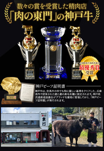 丹波篠山肉の東門 形が不揃いの訳あり不ぞろいちゃん焼き肉用600g AB34 産直 精肉店直送 高級 ハレの日 贅沢 グルメ 美味しい 冷凍配送 冷凍食品