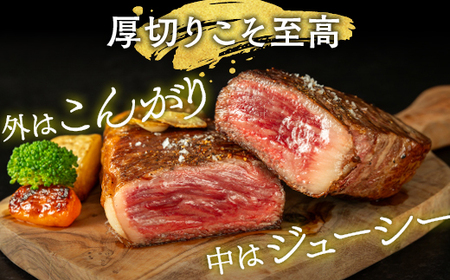 牛肉 亀岡牛 サーロインブロック 600g  牛肉 国産