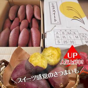 【先行予約】【2026年11月より順次発送開始】さつまいも　特選シルクスイート 約5kg｜さつまいも 芋 お芋 シルクスイート タネのハシモト 茨城県 行方市(BS-1)