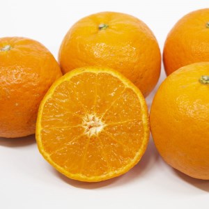ポンカン 5kg フルーツ 果物 くだもの 柑橘 敬老の日 ジュース ビタミン お菓子 スイーツ ケーキ マーマレード ゼリー 予約 数量 限定 国産 愛媛 愛南