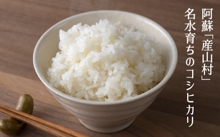 【令和6年産新米】うぶまい（コシヒカリ　白米）8kg〈阿蘇の名水　池山水源米〉