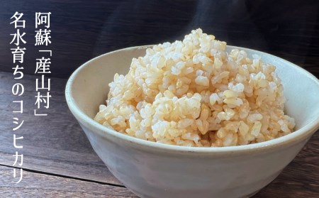 【令和6年産新米】うぶまい（コシヒカリ　玄米）8kg〈阿蘇の名水　池山水源米〉