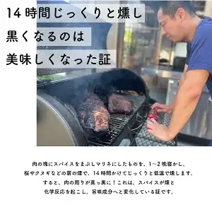 高知県産 ブランド豚 プルドポーク（100g×5）｜やわらか 豚肉 トマトBBQソース 冷凍 惣菜