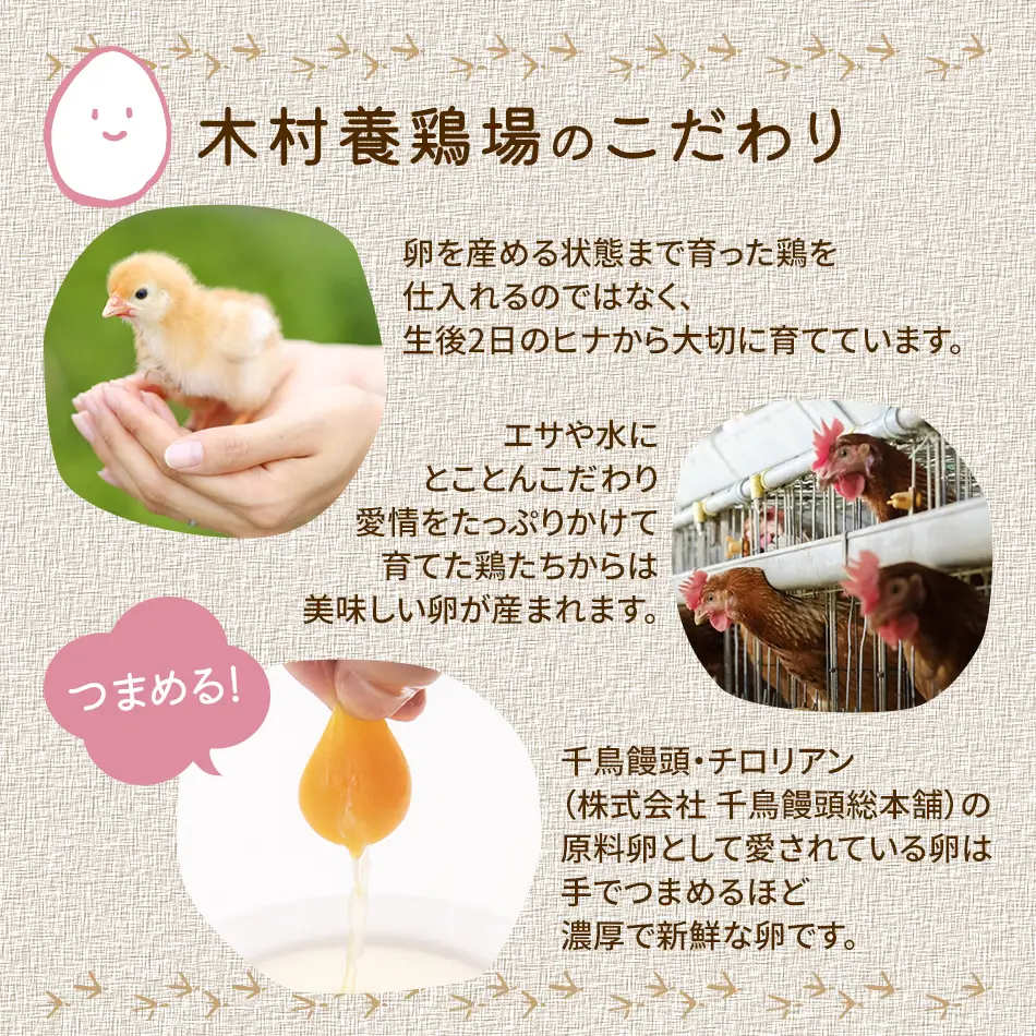 木村さんちのたまご前期定期便 6回発送（初回のみ醤油付き・たまご20個 M～L）20個×6回 合計120個 定期便 6ヶ月 卵 赤玉 送料無料 【2027年1月～6月の計6回お届け】