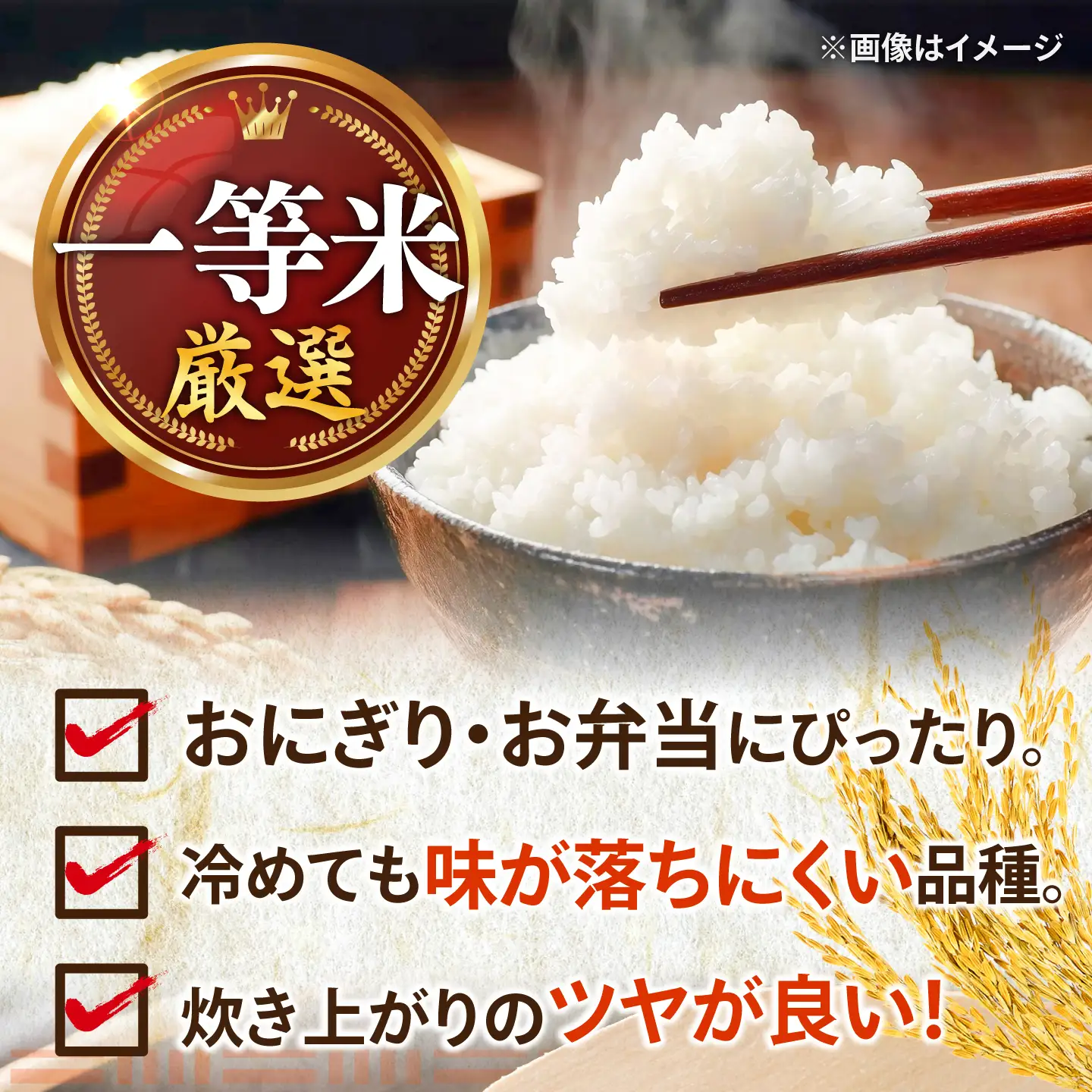 【先行予約/10月下旬以降順次発送】【令和8年産】福井県産 あきさかり 10kg 白米 若狭の恵 新米  [BFAG014]