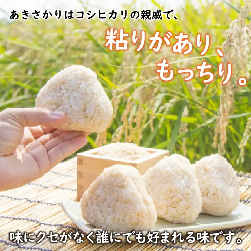 【令和8年産】福井県産あきさかり 玄米 30kg 若狭の恵 玄米 [BFAG015]
