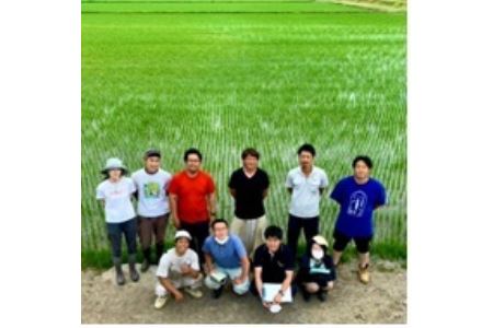 A154 【 令和６年産 】 夢見鷹 ゆめぴりか　おぼろづき　ブレンド 米 （ 白米 ）5㎏ 北海道 鷹栖町 Next Agri．Takasu 米 コメ こめ ご飯 白米 お米 ブレンド