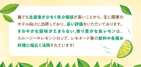 ■【 先行受付 】 栽培期間中 農薬 ・ 除草剤 ・ 化学肥料不使用 ！ 南国 の 島レモン 3kg ！【2026年9月～2027年2月下旬お届け】 W043-004u 果物