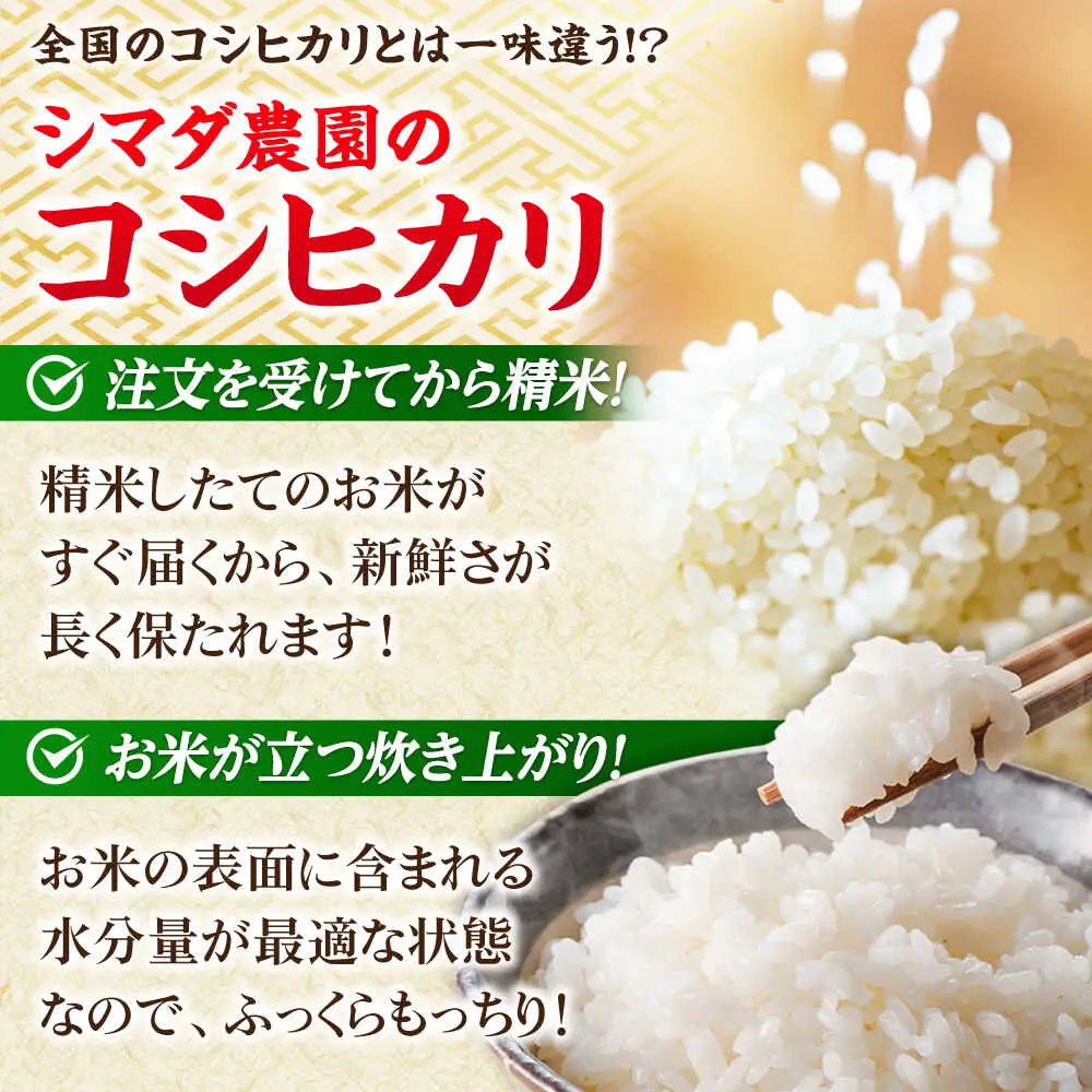 【令和7年産】真空パック 福井県産こしひかり 300g(約2合) × 10パック 計3kg 小浜市 / シマダ農園 [BFAV004]