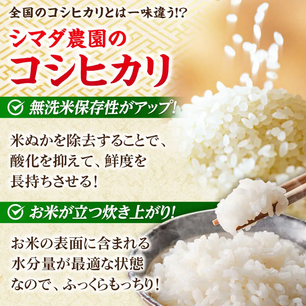 【令和7年産】無洗米 福井県産こしひかり 300g(約2合) × 10パック 計3kg  小浜市 / シマダ農園 [BFAV003]