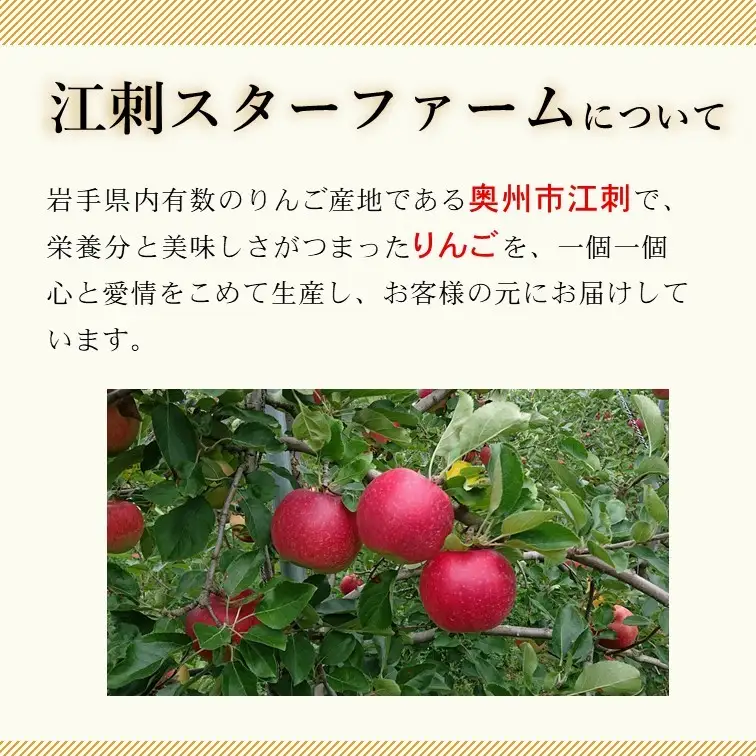 【スターファーム】 こだわり栽培の サンつがる 厳選品 約3kg 岩手県奥州市産りんご 産地直送 冷蔵 [AY005]