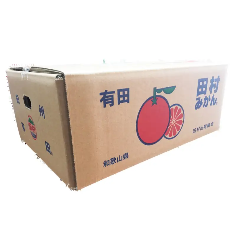 【ご家庭用訳あり】田村みかん　5kg　※2026年11月下旬～2027年1月下旬頃に発送【uot754A】