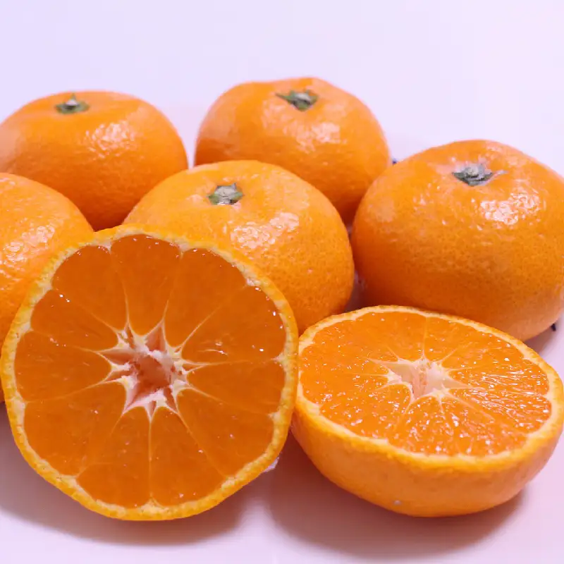 ＼ みかんの名産地 和歌山県産／ 農家直送 大玉 有田みかん 5kg （2L～3L） ひとつひとつ手選別で厳選【2026年11月下旬～2027年1月中旬ごろに順次発送予定】 | みかん フルーツ 果物 くだもの 有田みかん 蜜柑 柑橘【hdm001-1A】