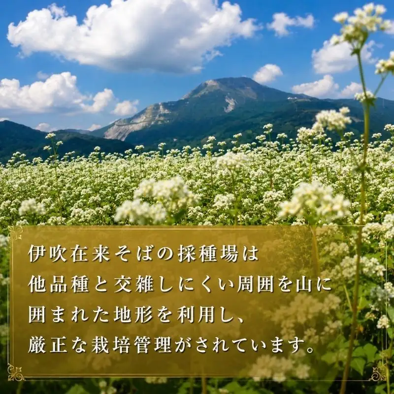 十割伊吹そば 麺工房伊吹長兵衛 田舎風 更科風 十割伊吹そば 【つゆ付 8人前 200g×4箱】