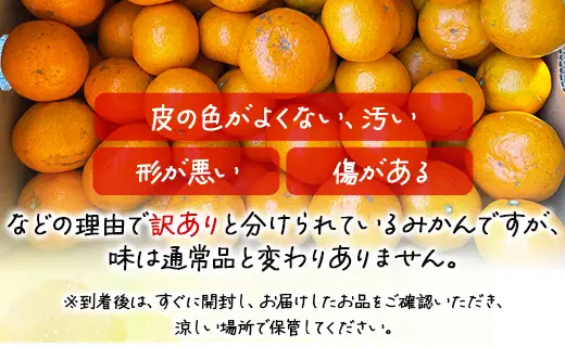訳あり みかん 5kg 山北みかん 小玉 th-0030
