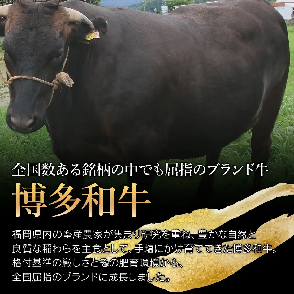 牛肉 訳あり 博多和牛ヒレサイコロステーキ 600g 牛肉