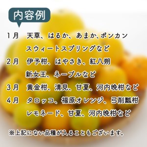 定期便 4回 季節 柑橘 みかん 詰め合わせ 第一マルエム 減農薬 はるか あまか ポンカン 伊予柑 ネーブル 文旦 みかん 新女王 黄金柑 清見 甘夏 御荘ゴールド みかん 河内晩柑 タロッコ レモネード みかん 愛媛県 愛南町
