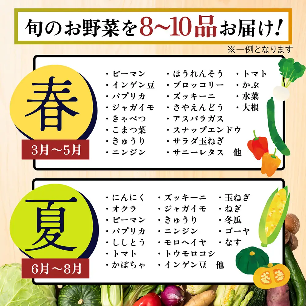 【12ヶ月 定期便】【野菜ソムリエ選定】 肥前の国のお野菜定期便 新鮮 採れたて 野菜 直売所 野菜 8～10品目 野菜定期便 J-14