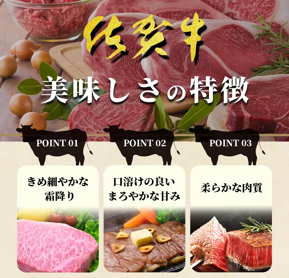 【熟成肉】佐賀牛スライス 370ｇ（牛肩ロース・赤身・バラ） 牛肉  赤身  B-212