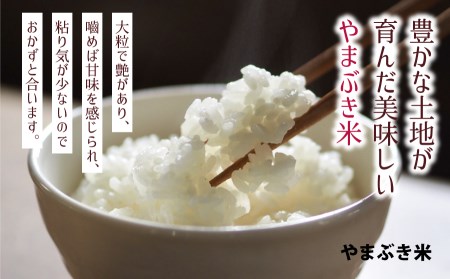 ＜令和7年新米＞やまぶき米(あきげしき)8kg《11月上旬-11月末頃出荷》