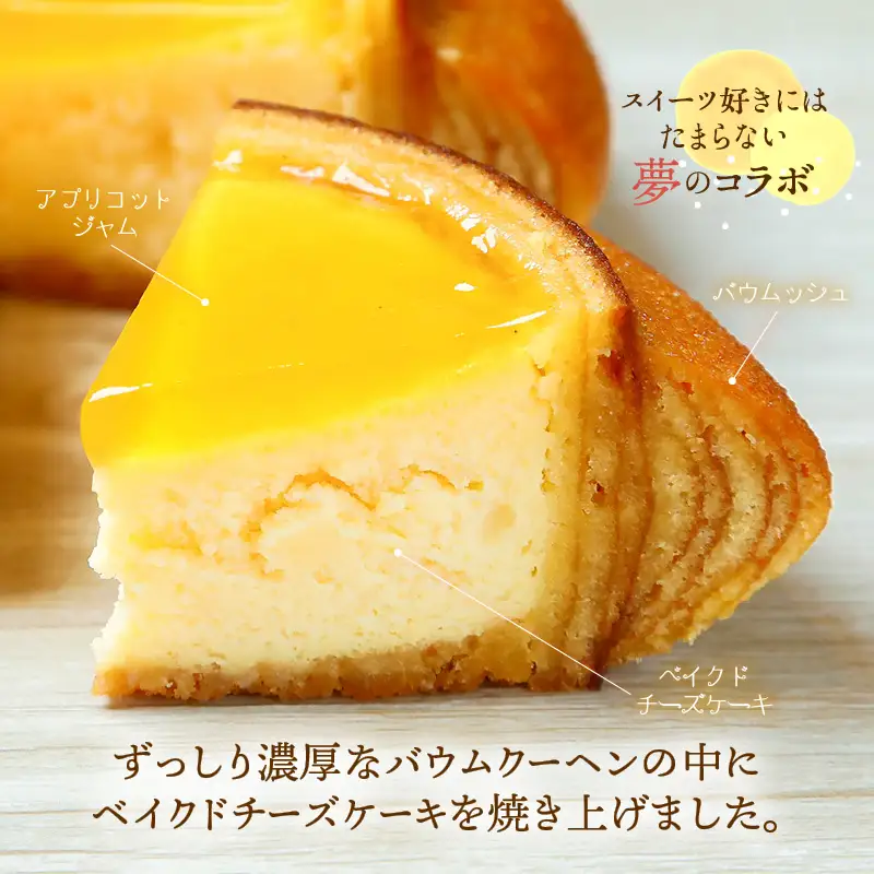 【寄附額見直し】ムッシュフロマージュ 約4.5号 1個 スイーツ お菓子 [A-08232]