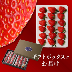 池田農園の完熟よつぼしプレミアムギフト (380g×2パック)　計760g 〔Fi111〕