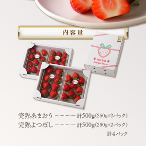池田農園の完熟あまおう＆完熟よつぼし食べ比べセット 〔Fi046〕