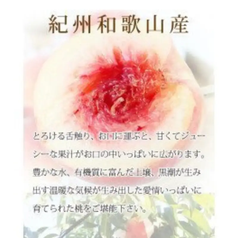 桃 秀品　紀州和歌山産の桃　３玉　化粧箱入【2026年6月下旬頃～2026年8月上旬頃に順次発送予定】【UT105】【Z91061-uot750】