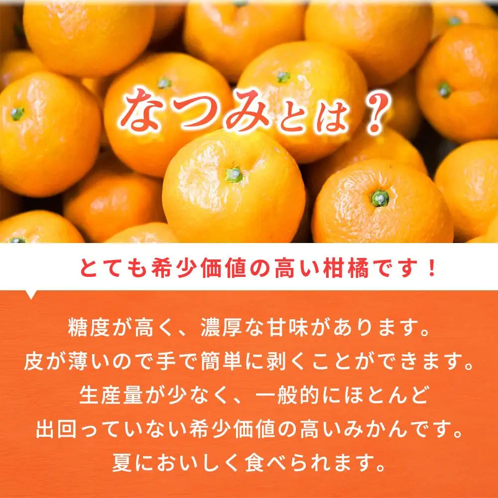 初夏のみかん　なつみ3kg［2027年4月中旬以降発送］［先行予約］［UT56］