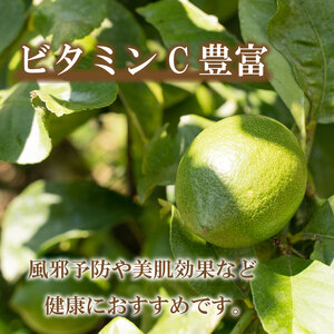 レモン 約 3kg 24個 柑橘 檸檬 牡蠣 フライ レモンティー 愛媛 愛南 マルエム直販