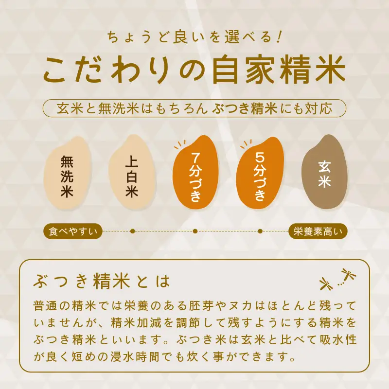 先行予約 令和8年産・新米 コシヒカリ 5kg 上白米 福井県産コシヒカリ  [A-0267_01]