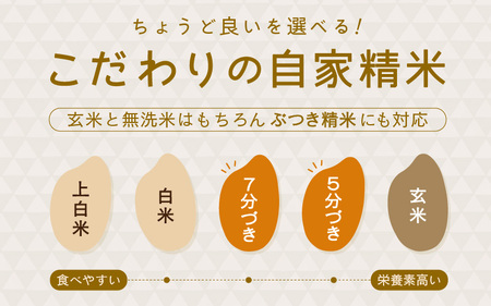 先行予約 令和8年産・新米 コシヒカリ 5kg 5分づき ぶづき精米 福井県産コシヒカリ [A-0267_03]