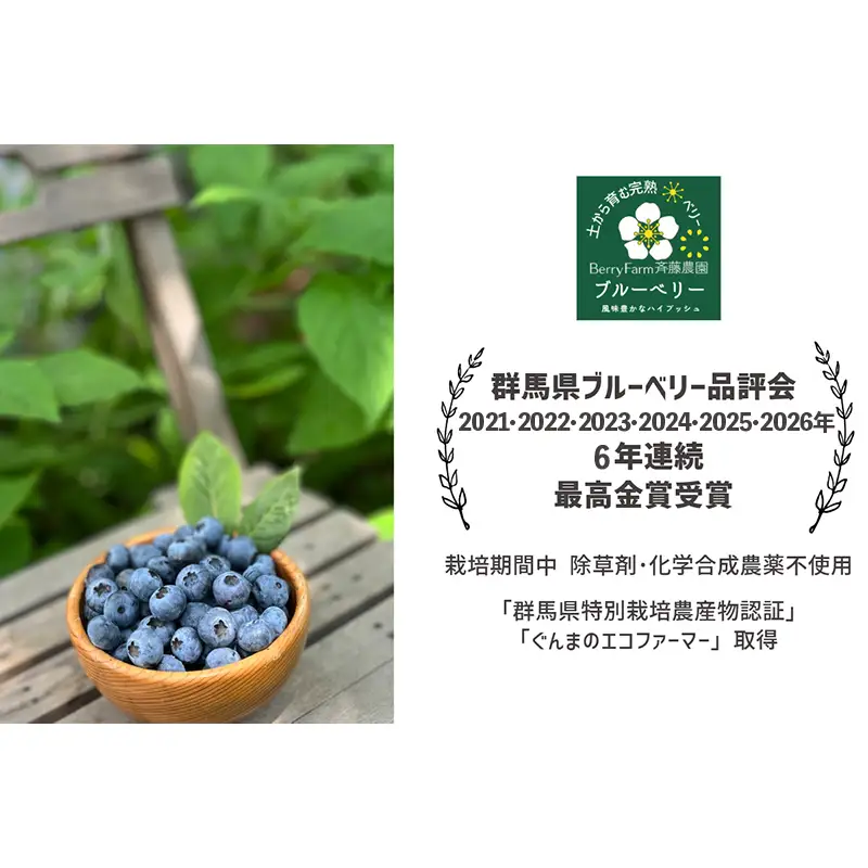 ブルーベリー特選大粒600g 朝摘みでお届け！【6年連続最高金賞受賞 群馬県ブルーベリー品評会2021~2026年】化学農薬不使用 除草剤不使用 フルーツ 果物 F4H-0683