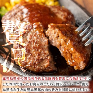＜数量限定＞ ハンバーグ 鹿児島県産 黒毛和牛 × 黒豚 ハンバーグ 12個(計1.3kg以上) 【ナンチク】A331-v02
