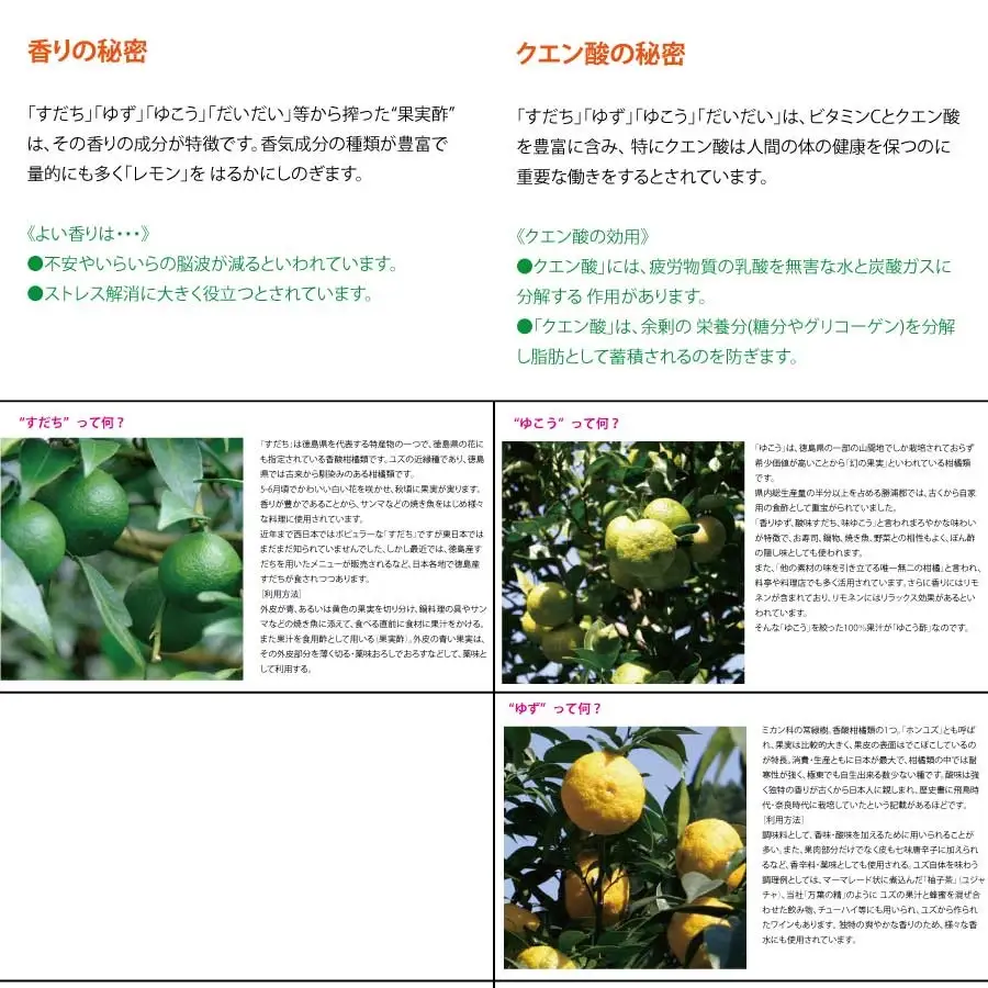 和柑橘果汁 300ml 3種セット