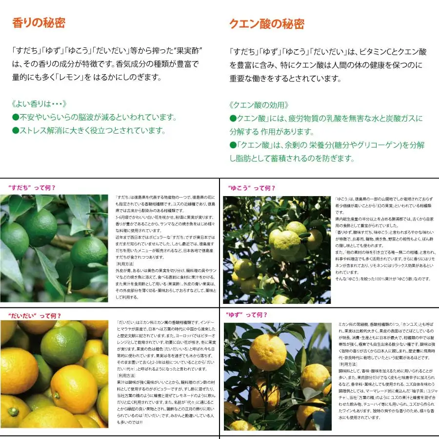 和柑橘希釈ジュース720ml 3種セット