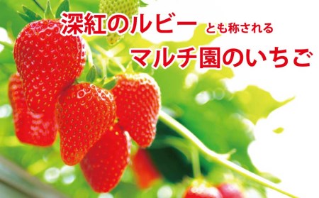 VERY40% マルチ園のいちごアイスクリーム 6個